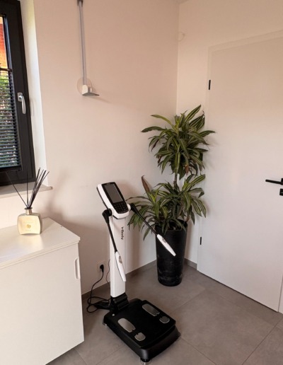 balance professionnelle INBODY 270S